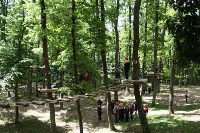 Parco avventura